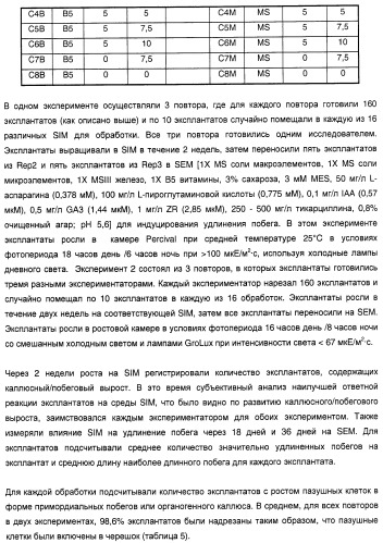 Улучшенная трансформация сои (патент 2389797)