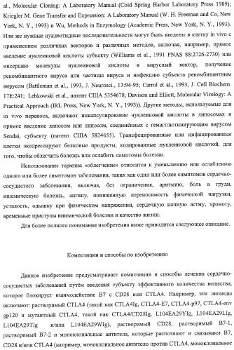 Способ лечения сердечно-сосудистого заболевания с применением растворимого ctla4 (патент 2353384)