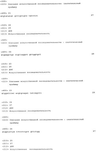 Химерные и гуманизированные антитела к cd44, которые опосредствуют цитотоксичность в отношении раковых клеток (патент 2487723)