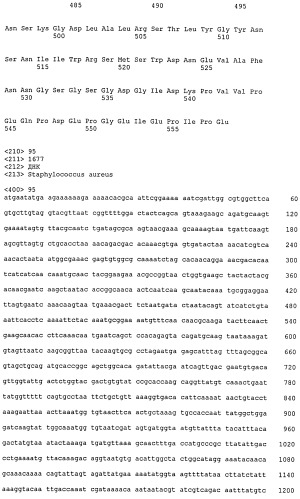 Иммуногенные композиции антигенов staphylococcus aureus (патент 2536981)