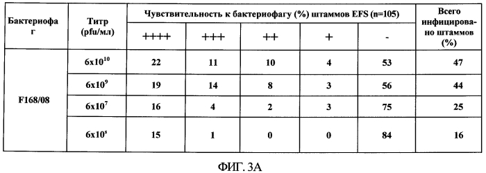 Бактериофаг, обладающий активностью против pseudomonas aeruginosa, белки бактериофага и способы их применения (патент 2580248)