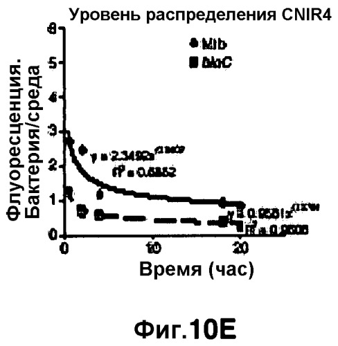 Применение бактериальной бета-лактамазы для диагностики in vitro и визуализации, диагностики и лечения in vivo (патент 2520661)