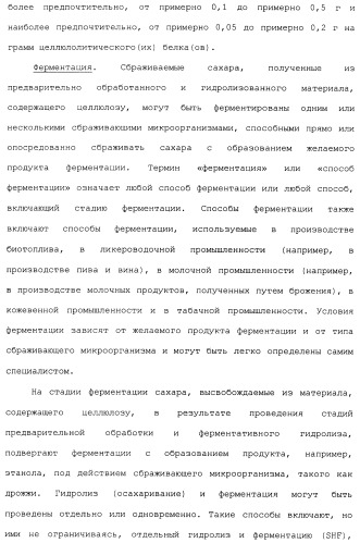 Клетка-хозяин trichoderma reesei для получения целлюлолитической белковой композиции, целлюлолитическая белковая композиция, способы ее получения и применения (патент 2494146)