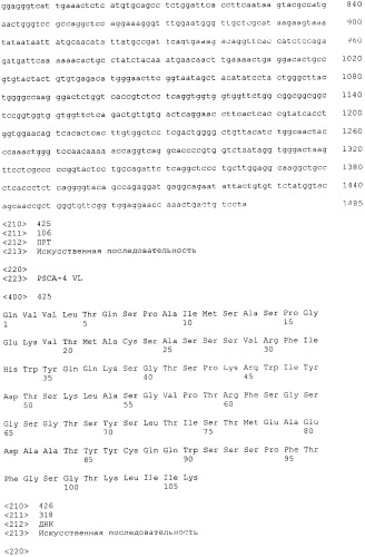 Pscaxcd3, cd19xcd3, c-metxcd3, эндосиалинxcd3, epcamxcd3, igf-1rxcd3 или fap-альфаxcd3 биспецифическое одноцепочечное антитело с межвидовой специфичностью (патент 2547600)