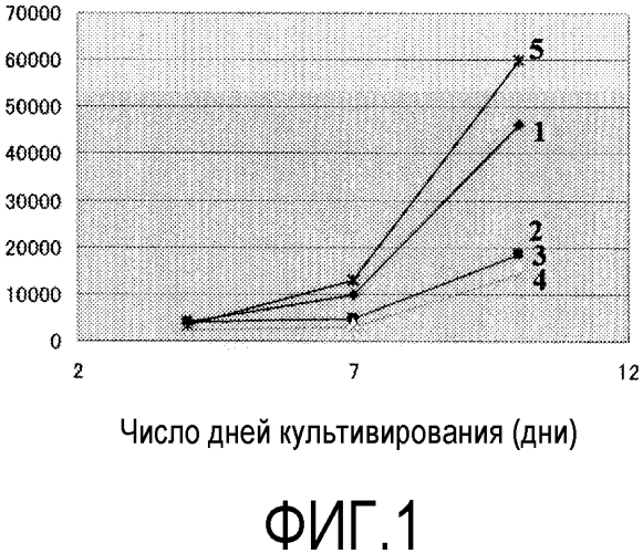 Полученная из моноцита человека стволовая клетка для терапевтического применения и способ ее индукции (патент 2573906)