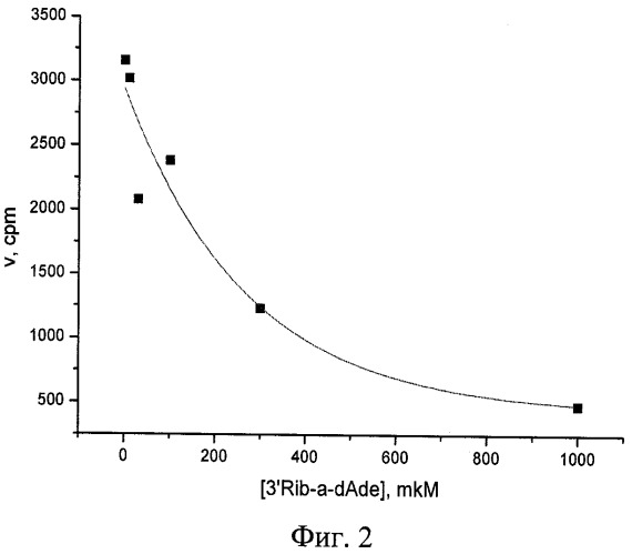 Средство для ингибирования фермента поли(адф-рибозо)полимеразы-1 человека (патент 2411948)