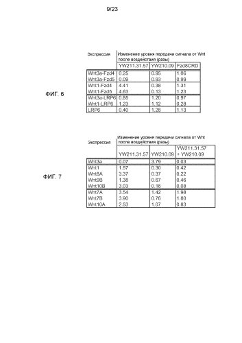 Анти-lrp6 антитела (патент 2587625)