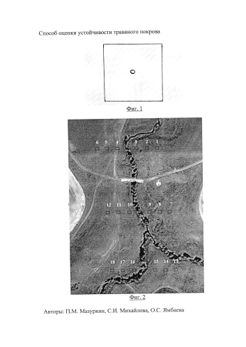 Способ оценки устойчивости травяного покрова (патент 2581879)