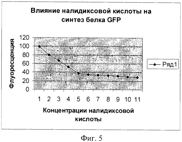 Рекомбинантная плазмидная днк для обнаружения агентов, повреждающих генетический аппарат клетки (варианты) (патент 2311459)