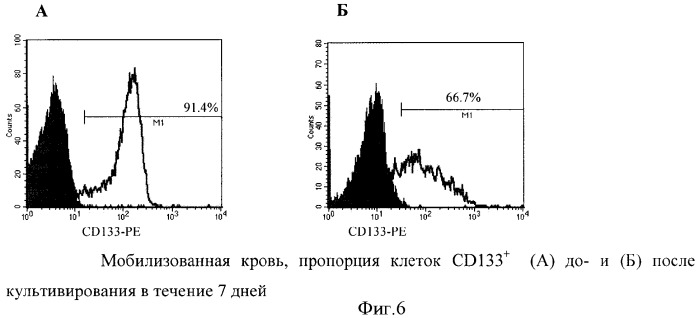 Способ увеличения количества гемопоэтических недифференцированных стволовых клеток пациента ex vivo (патент 2360965)