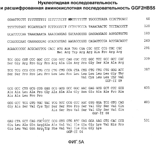 Способ обеспечения требуемых уровней фактора 2 роста глии в плазме (патент 2530650)