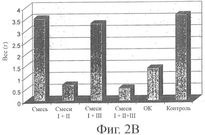 Пищевые системы и способы увеличения долголетия (патент 2449554)