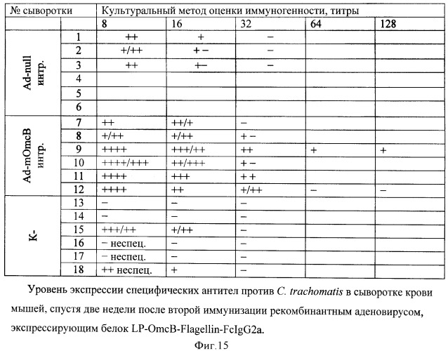 Способ получения рекомбинантной вакцины (патент 2444570)