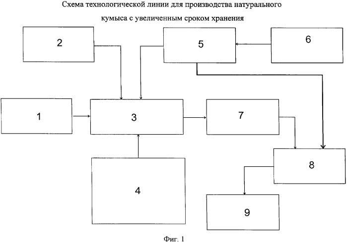 Способ получения кумыса с увеличенным сроком хранения (патент 2345541)