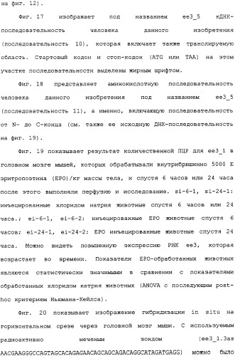 Ее3-семейство белков и соответствующие днк-последовательности (патент 2333918)