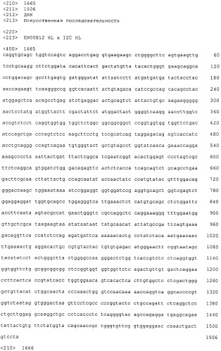 Pscaxcd3, cd19xcd3, c-metxcd3, эндосиалинxcd3, epcamxcd3, igf-1rxcd3 или fap-альфаxcd3 биспецифическое одноцепочечное антитело с межвидовой специфичностью (патент 2547600)