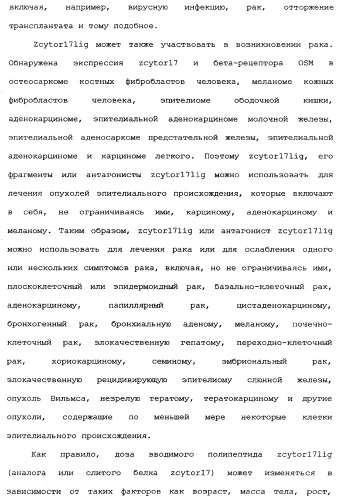 Новый лиганд рецептора цитокина zcytor17 (патент 2360923)
