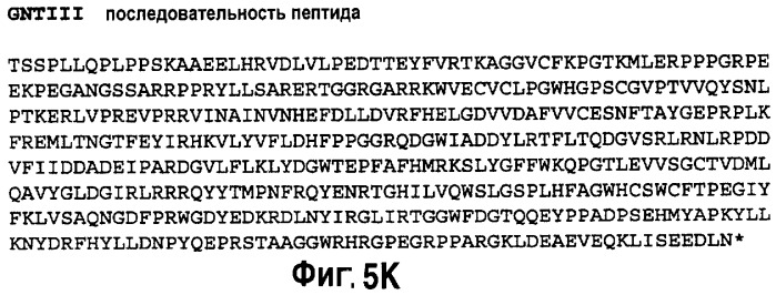 Способ синтеза белка с модифицированным профилем n-гликозилирования в растениях (патент 2499053)