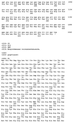 Гены grg23 и grg51, придающие устойчивость к гербицидам (патент 2393225)