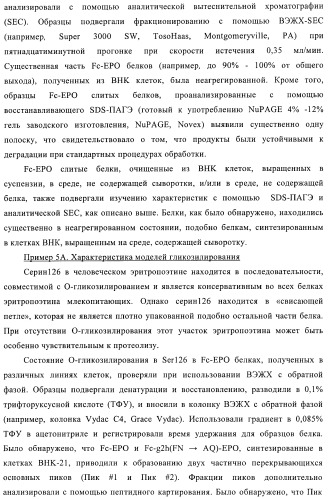 Fc-эритропоэтин слитый белок с улучшенной фармакокинетикой (патент 2370276)