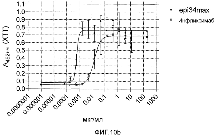 Стабильные и растворимые антитела, ингибирующие tnfα (патент 2567100)