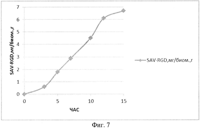 Способ получения рекомбинантного белка sav-rgd (патент 2577138)