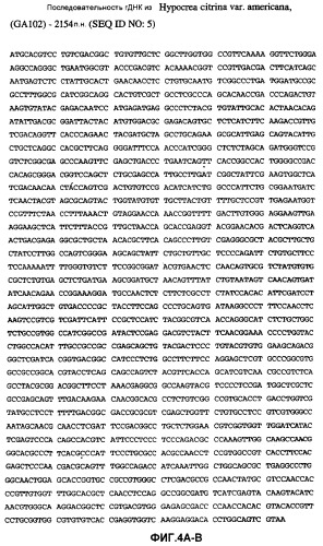 Глюкоамилаза trichoderma reesei и ее гомологи (патент 2394101)