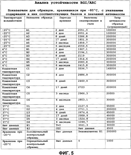 Измененные рекомбинантные клетки (arc), предназначенные для продуцирования и доставки антивирусных агентов, адъювантов и акселераторов вакцин (патент 2335535)