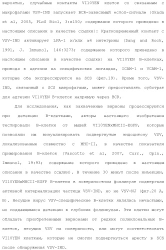 Включение адъюванта в иммунонанотерапевтические средства (патент 2496517)