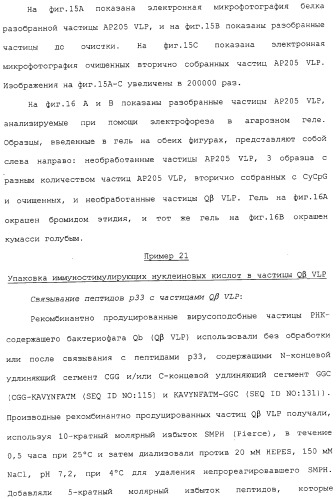 Композиции, содержащие cpg-олигонуклеотиды и вирусоподобные частицы, для применения в качестве адъювантов (патент 2322257)