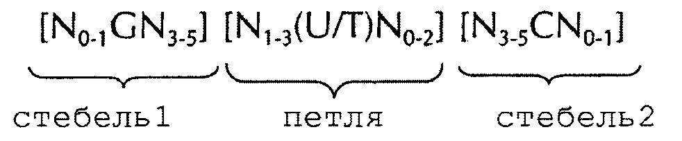 Искусственные молекулы нуклеиновых кислот для улучшенной экспрессии белков или пептидов (патент 2658490)