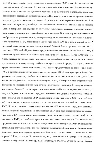 Молекулы нуклеиновых кислот, кодирующие wrinkled1-подобные полипептиды, и способы их применения в растениях (патент 2385347)