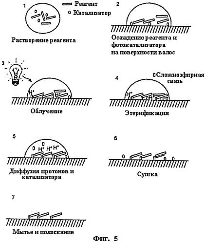 Композиции и способы, включающие фотокатализаторы (патент 2537838)