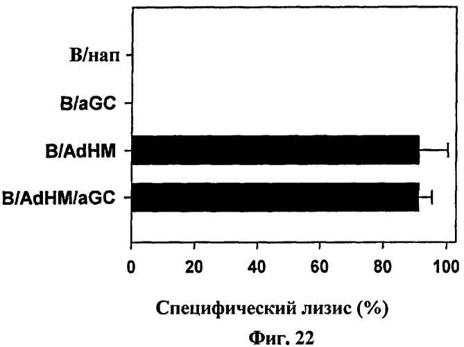Вакцина на основе в-клеток, нагруженных лигандом т-клеток-природных киллеров и антигеном (патент 2420311)