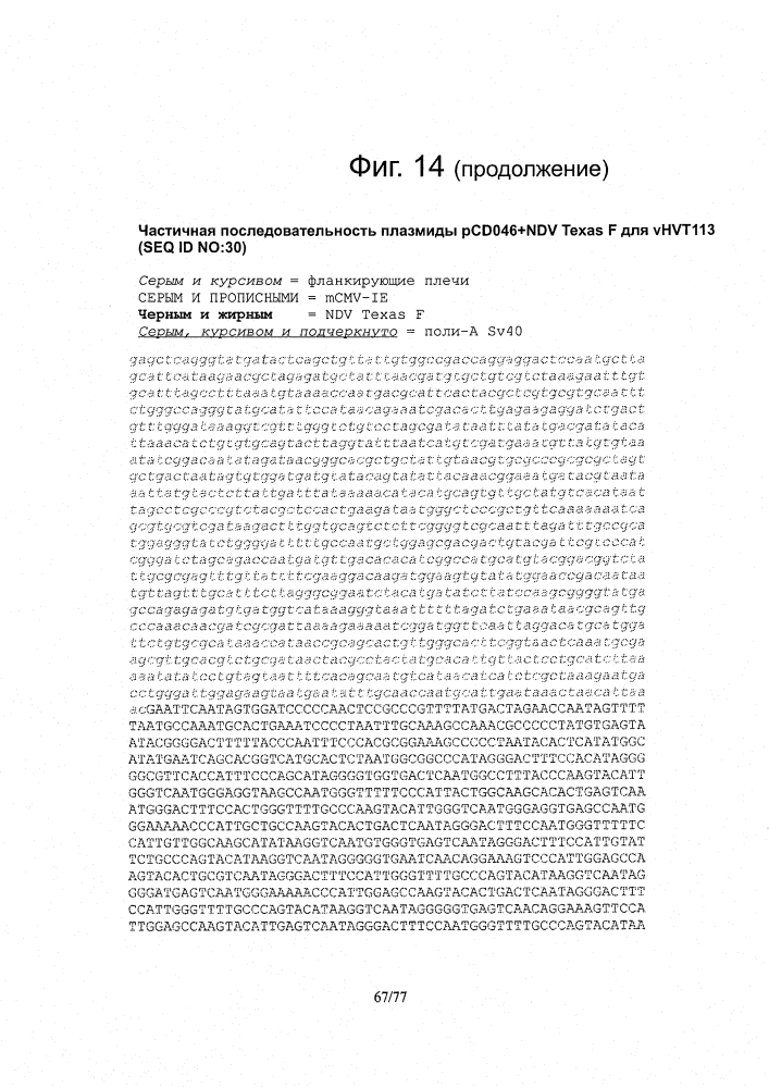 Рекомбинантные векторы hvt, экспрессирующие антигены патогенов птиц и их применение (патент 2620936)