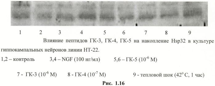 Дипептидные миметики нейротрофинов ngf и bdnf (патент 2410392)