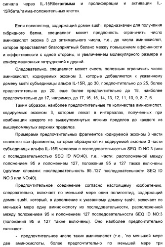 Соединение, предназначенное для стимуляции пути передачи сигнала через il-15rбета/гамма, с целью индуцировать и/или стимулировать активацию и/или пролиферацию il-15rбета/гамма-положительных клеток, таких как nk-и/или t-клетки, нуклеиновая кислота, кодирующая соединение, вектор экспрессии, клетка-хозяин, адъювант для иммунотерапевтической композиции, фармацевтическая композиция и лекарственное средство для лечения состояния или заболевания, при котором желательно повышение активности il-15, способ in vitro индукции и/или стимуляции пролиферации и/или активации il-15rбета/гамма-положительных клеток и способ получения in vitro активированных nk-и/или t-клеток (патент 2454463)