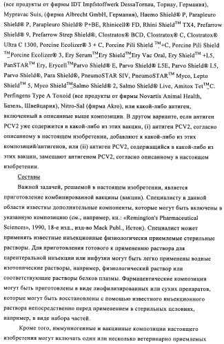 Поливалентные иммуногенные композиции pcv2 и способы получения таких композиций (патент 2488407)