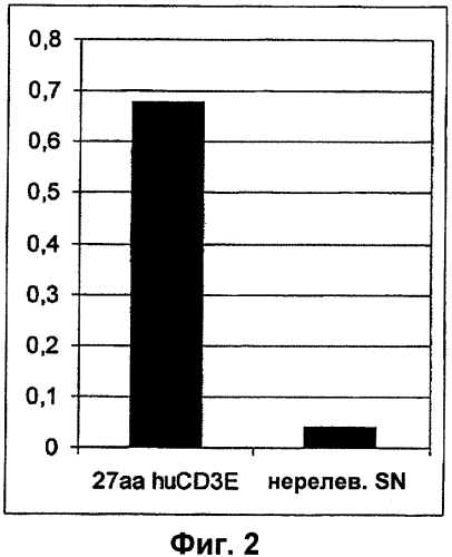 Cd3-эпсилон-связывающий домен с межвидовой специфичностью (патент 2561457)