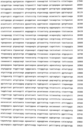 Бактериофаг, обладающий активностью против pseudomonas aeruginosa, белки бактериофага и способы их применения (патент 2580248)