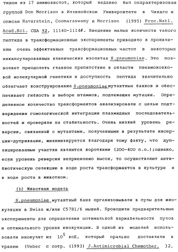 Vgc2 днк salmonella typhimurium, мутантная бактерия, обладающая пониженной способностью к адаптации к условиям окружающей среды, и способ ее получения (патент 2370541)