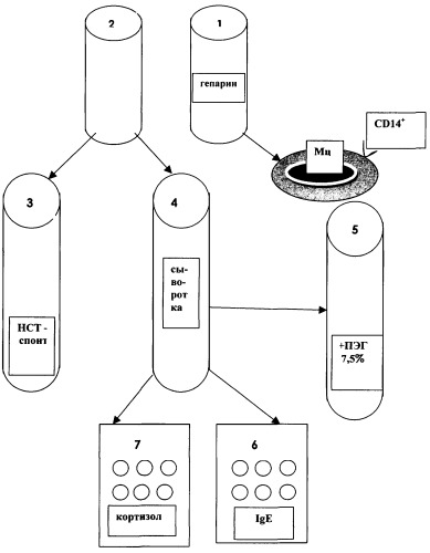 Способ экспресс-диагностики туберкулезной инфекции (патент 2367952)