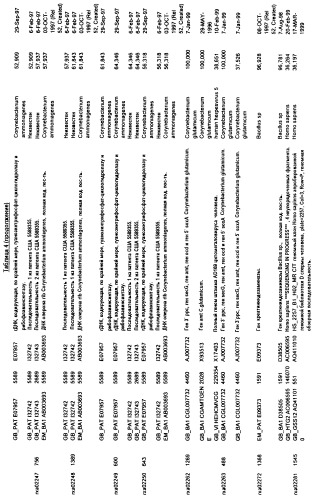 Гены corynebacterium glutamicum, кодирующие белки метаболических путей (патент 2306339)