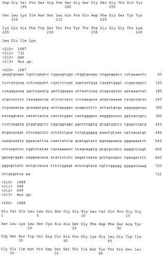 Pscaxcd3, cd19xcd3, c-metxcd3, эндосиалинxcd3, epcamxcd3, igf-1rxcd3 или fap-альфаxcd3 биспецифическое одноцепочечное антитело с межвидовой специфичностью (патент 2547600)