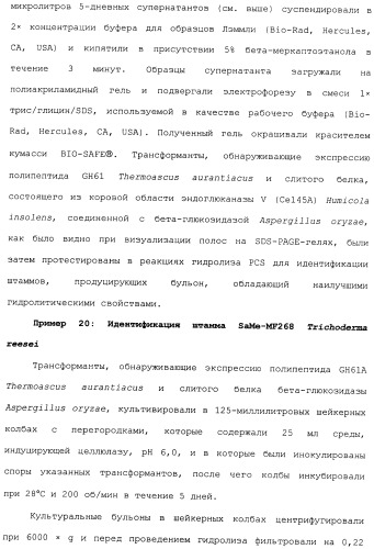 Клетка-хозяин trichoderma reesei для получения целлюлолитической белковой композиции, целлюлолитическая белковая композиция, способы ее получения и применения (патент 2494146)
