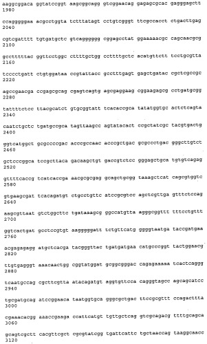 Антитела к рецептору конечных продуктов глубокого гликирования (rage) и их применения (патент 2518351)