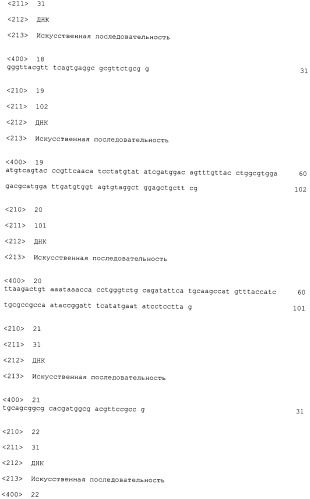 Бактерия escherichia coli для получения 1,2-пропандиола, способ ее получения, способ получения 1,2-пропандиола (патент 2407793)