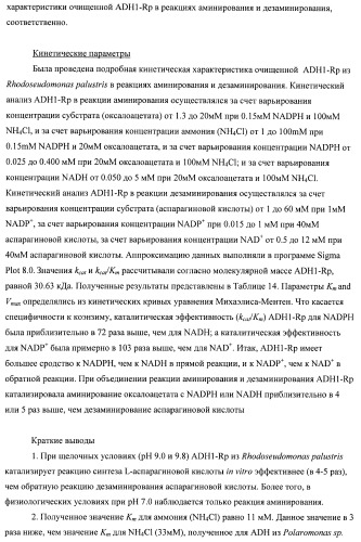 Бактерия семейства enterobacteriaceae - продуцент l-аспарагиновой кислоты или метаболитов, производных l-аспарагиновой кислоты, и способ получения l-аспарагиновой кислоты или метаблитов, производных l-аспарагиновой кислоты (патент 2472853)