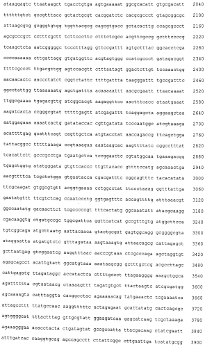 Мутеины липокалина 2 человека (lcn2, hngal) с аффинностью для определенной мишени (патент 2564125)