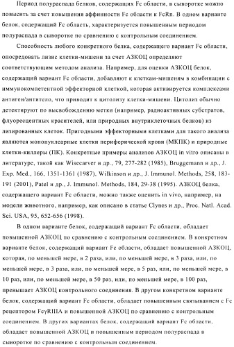 Стабилизированные антитела против ангиопоэтина-2 и их применение (патент 2509085)